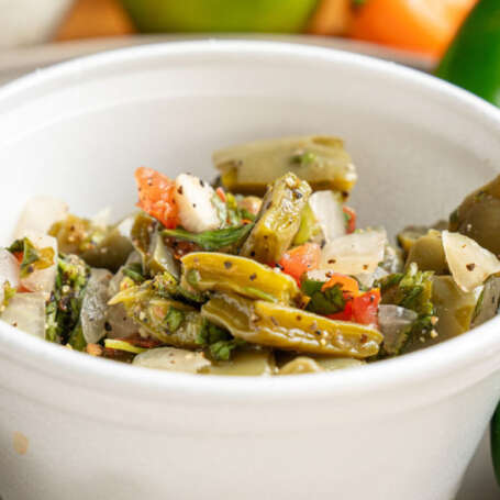 NOPALES (CACTUS) – Starter
