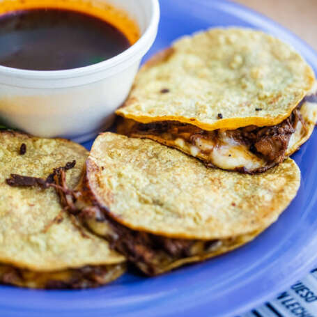 QUESABIRRIA (BIRRIA & CHEESE)