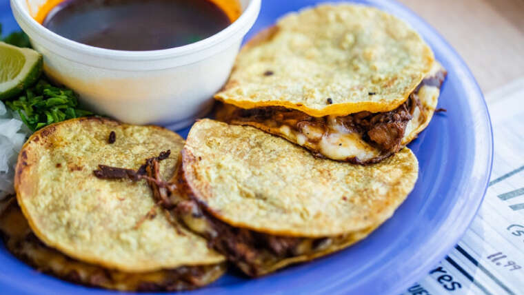 QUESABIRRIA (BIRRIA & CHEESE)