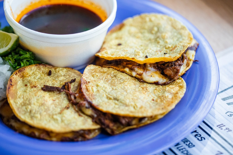 QUESABIRRIA (BIRRIA & CHEESE)